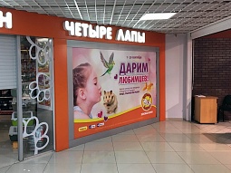 Баннер на витрине зоомагазине «Четыре Лапы»‎